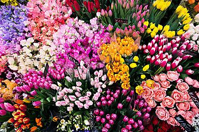 互动冒险游戏《阿斯法利亚：恐惧》 2025年1月发售